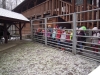 klubzima2014_t1_30