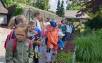 Kraków Zoo