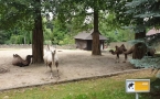 Kraków Zoo