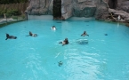 Kraków Zoo
