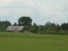 Wilno (215)