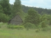 Wilno (217)