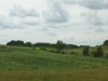 Wilno (242)