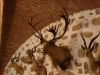 Wilno (64)